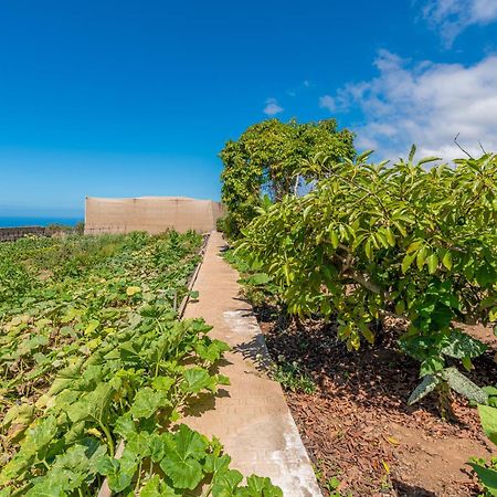 Casa Rural Finca Las Dulces Chio  Bagian luar foto