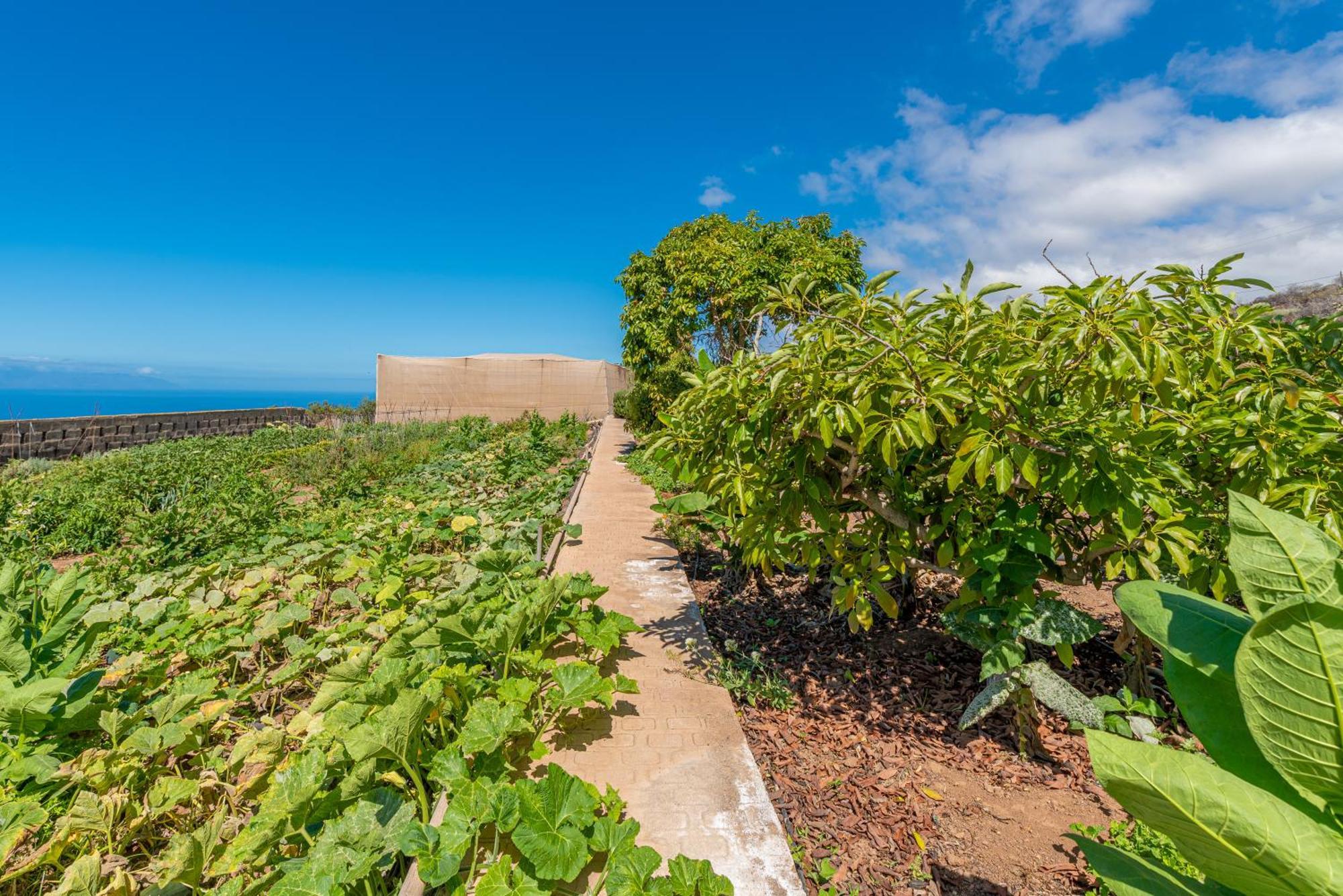 Casa Rural Finca Las Dulces Chio  Bagian luar foto